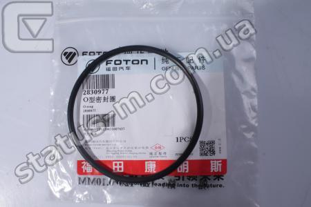 CUMMINS / 2830977 / Кольцо уплотнительное ТНВД Газон NEXT,ГАЗ 33106-Валдай,ГАЗ 3309,ПАЗ,Foton дв.Cummins SF 3.8,ISBe 4.5,6.7 (установочное) (пр-во Cummins) фото 1