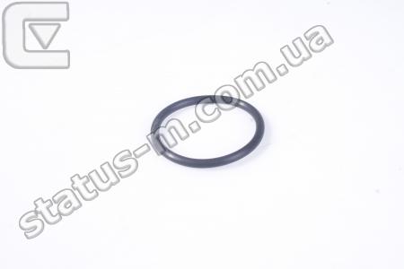 Cummins Investmen / 3944308 / Кольцо уплотнительное трубки маслянного щупа Газон NEXT,ГАЗ 33106-Валдай,ГАЗ 3309,ПАЗ,Foton дв.Cummins ISF 3.8 (пр-во Cummins Investmen) фото 1