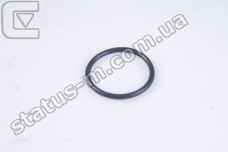 CUMMINS / 5265284 / Кольцо уплотнительное патрубка EGR Газель NEXT,Бизнес дв.Cummins ISF 2.8 (d=20мм) (пр-во Cummins) фото 1