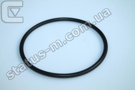 Cummins Investmen / 2830977 / Кольцо уплотнительное ТНВД Газон NEXT,ГАЗ 33106-Валдай,ГАЗ 3309,ПАЗ,Foton дв.Cummins SF 3.8,ISBe 4.5,6.7 (установочное) (пр-во Cummins Investmen) фото 1