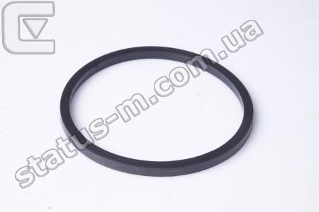 Cummins Investmen / 3906698 / Кольцо уплотнительное насоса водяного (помпы) КамАЗ,МАЗ,ПАЗ,ЛиАЗ дв.Cummins ISBe 4.5,ISBe 6.7,4ВТ,6ВТ,QSB (пр-во Cummins) фото 1